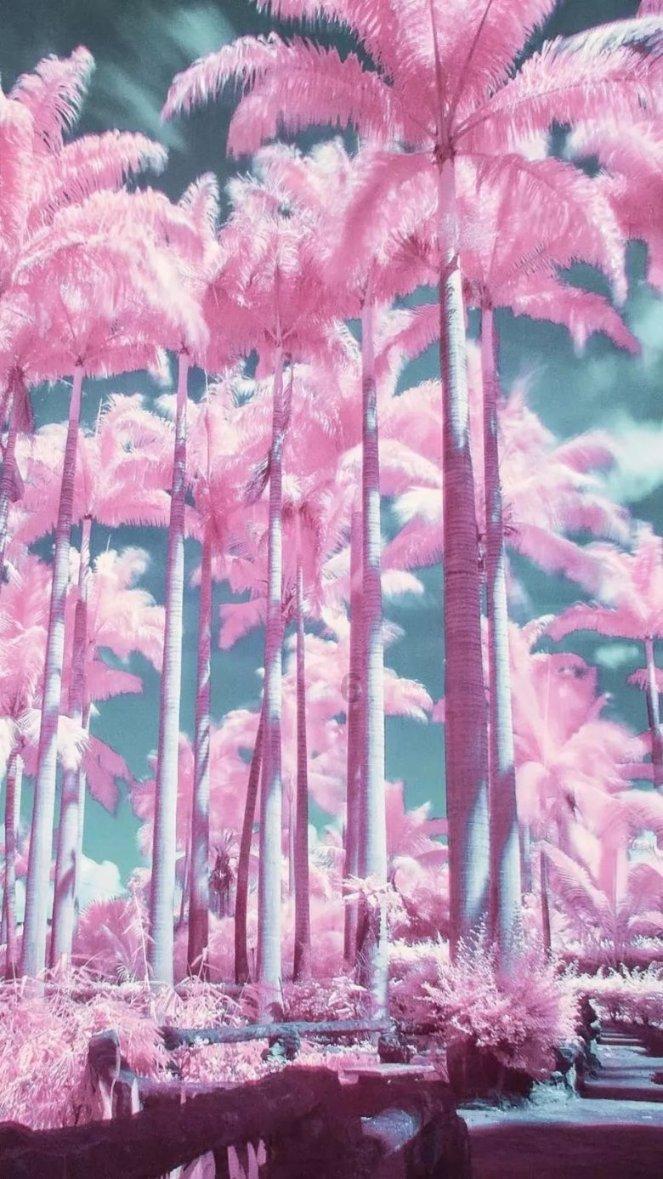 探秘